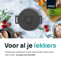 MOA Gietijzeren Braadpan - Inhoud 7,1 Liter - 29CM - Rond - Alle Warmtebronnen - Ook Voor Inductie - Gewicht 7,6 Kg - Zwart - MC29B -Keukengerei Winkel 1200x1200 590